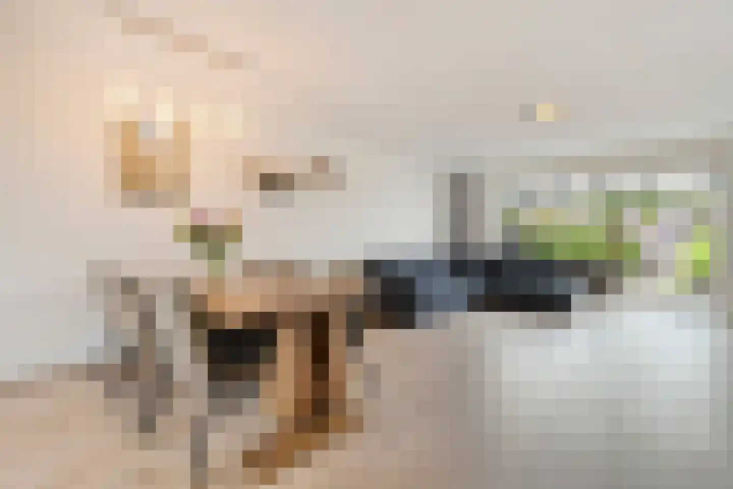 Rondeelstraat 34 Zwolle thumbnail 13