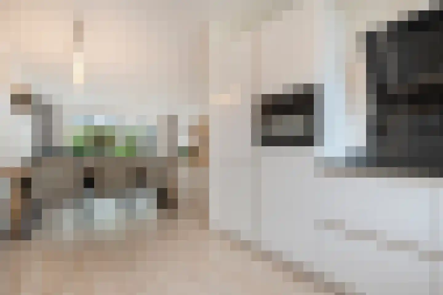 Rondeelstraat 34 Zwolle thumbnail 19