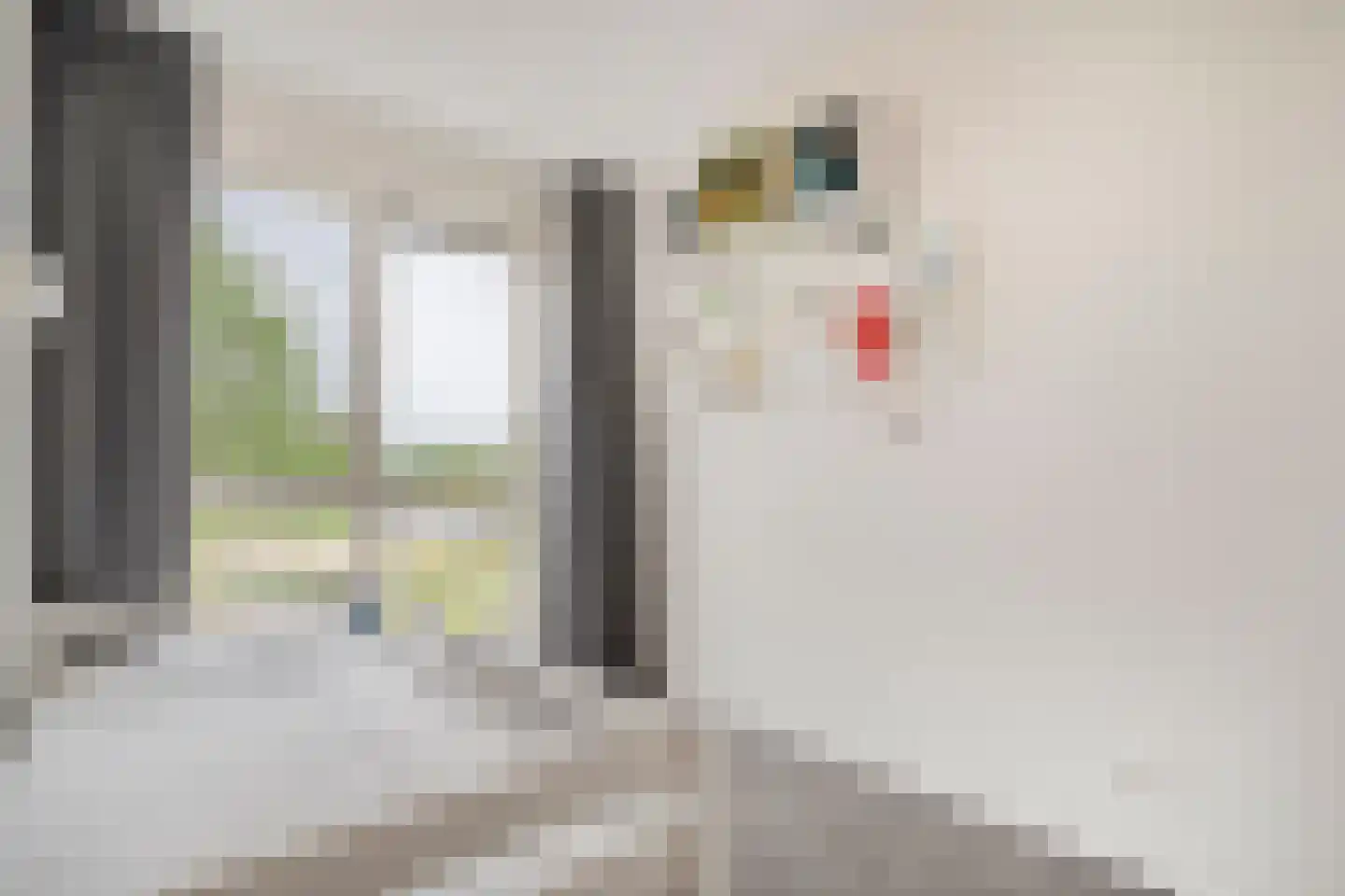 Rondeelstraat 34 Zwolle thumbnail 22