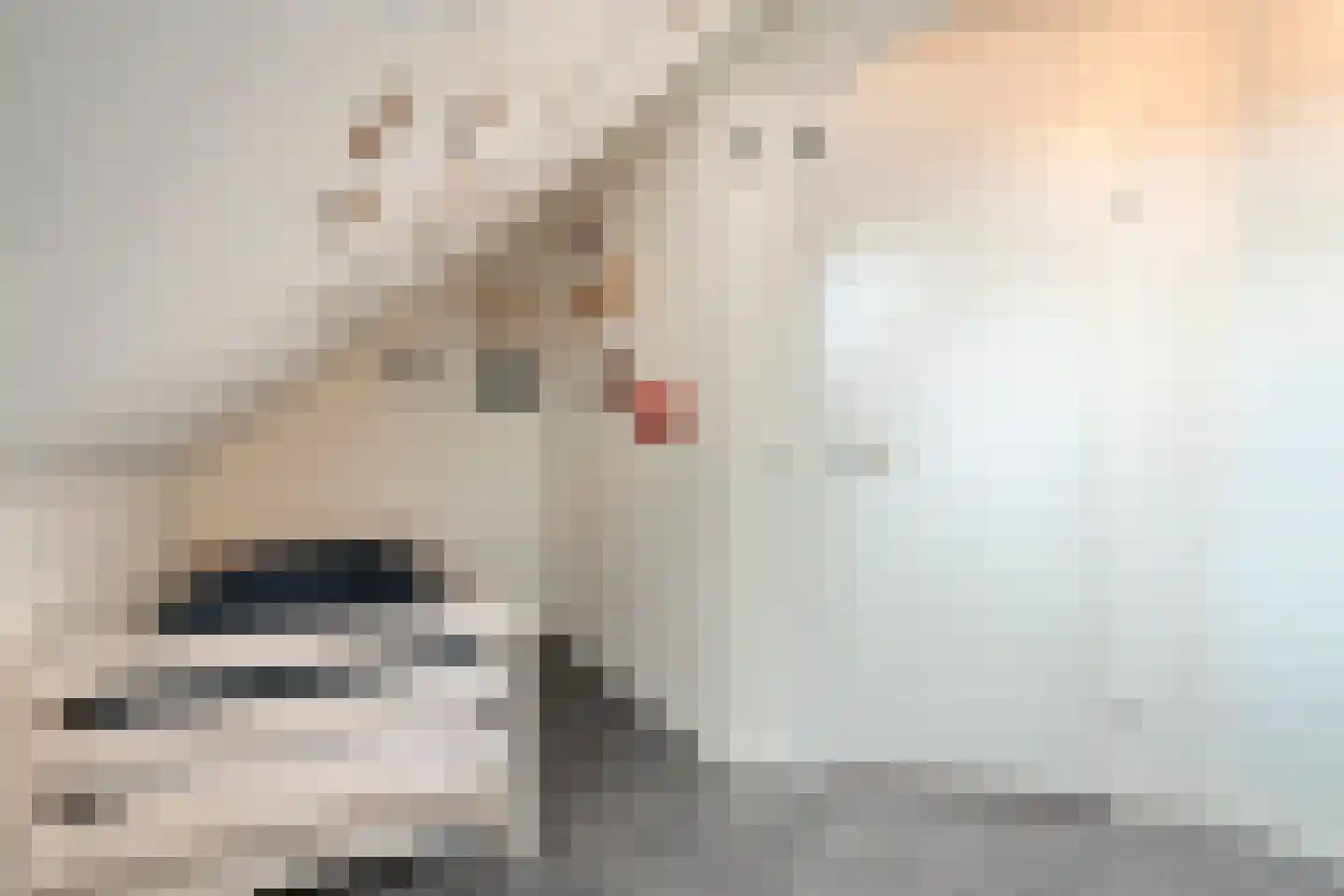 Rondeelstraat 34 Zwolle thumbnail 31