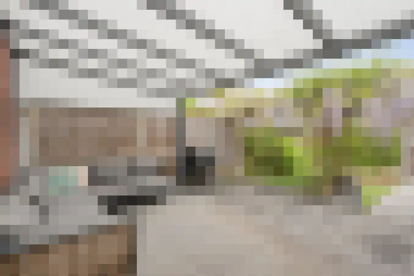 Rondeelstraat 34 Zwolle thumbnail 36