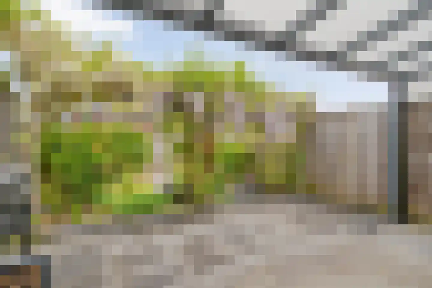 Rondeelstraat 34 Zwolle thumbnail 39