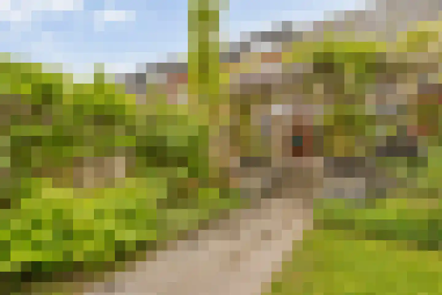 Rondeelstraat 34 Zwolle thumbnail 43