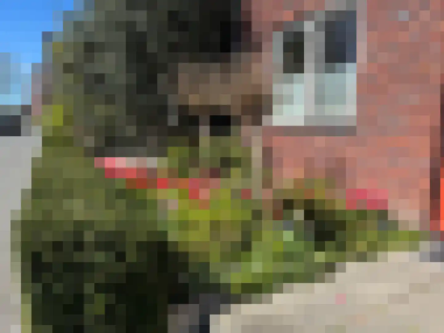 Rondeelstraat 34 Zwolle thumbnail 46