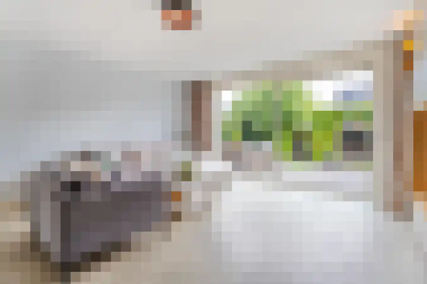 Rondeelstraat 36 Zwolle thumbnail 18
