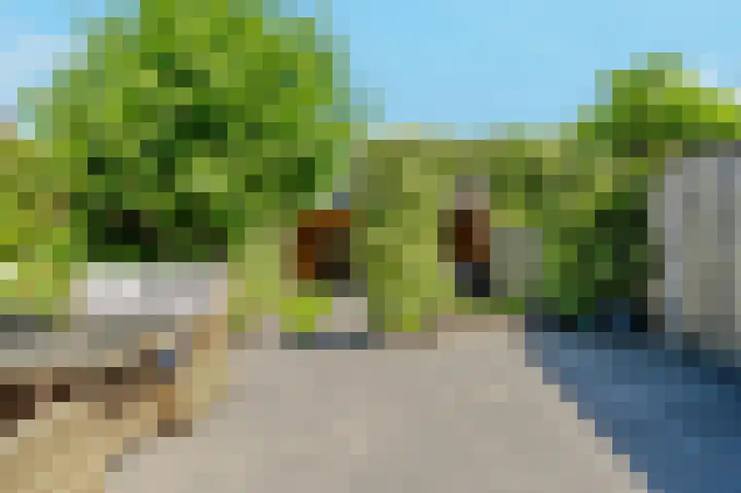 Rondeelstraat 36 Zwolle thumbnail 43