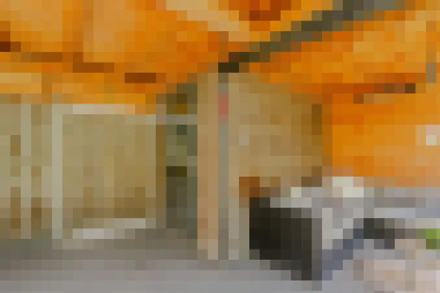 Rondeelstraat 36 Zwolle thumbnail 50