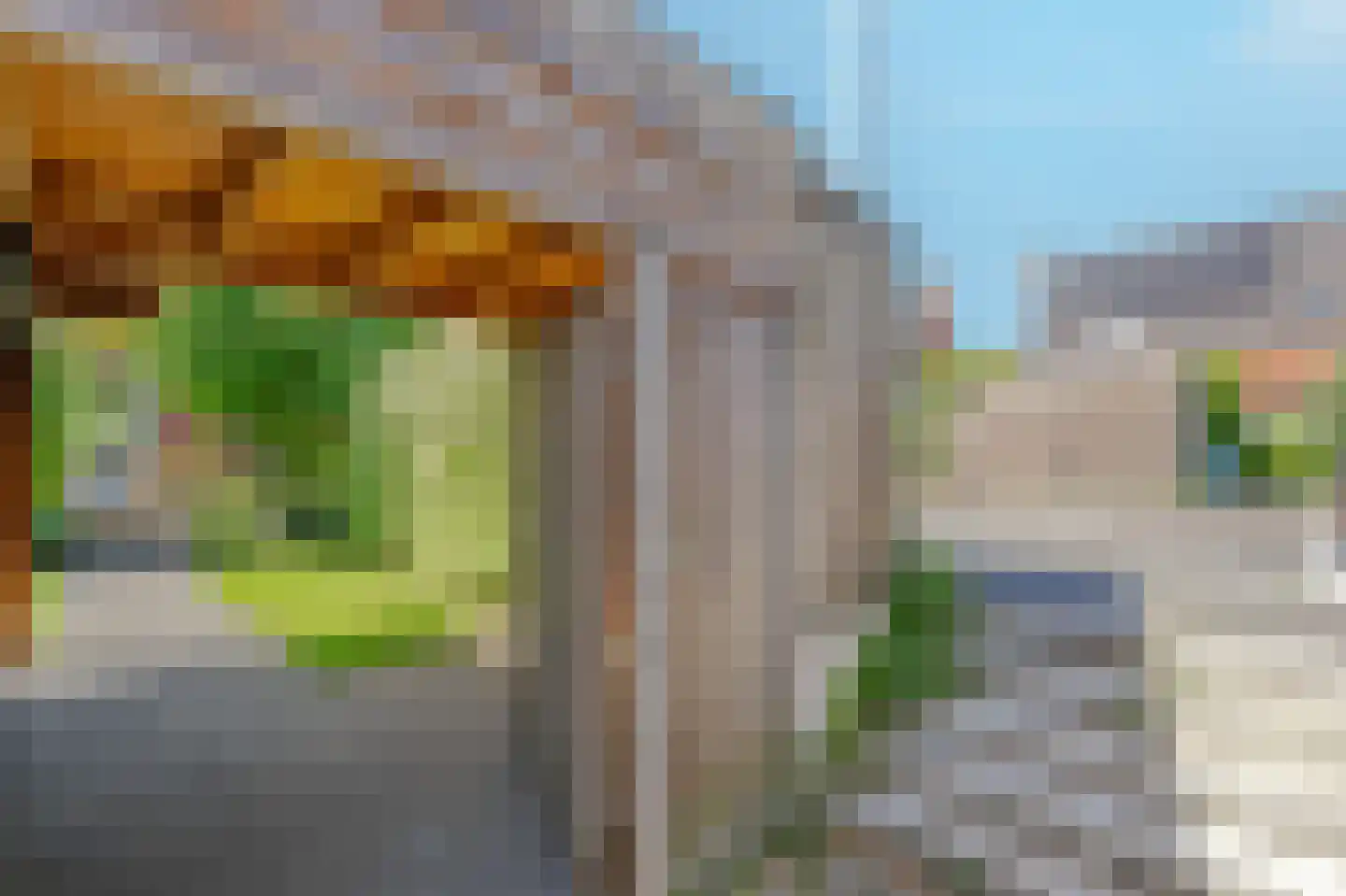 Rondeelstraat 36 Zwolle thumbnail 51
