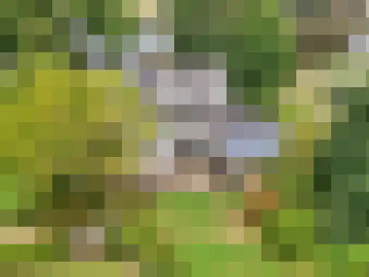 Rondehoep West 43 A Ouderkerk aan de Amstel thumbnail 30
