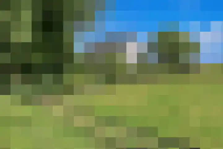 Rondehoep West 43 A Ouderkerk aan de Amstel thumbnail 85