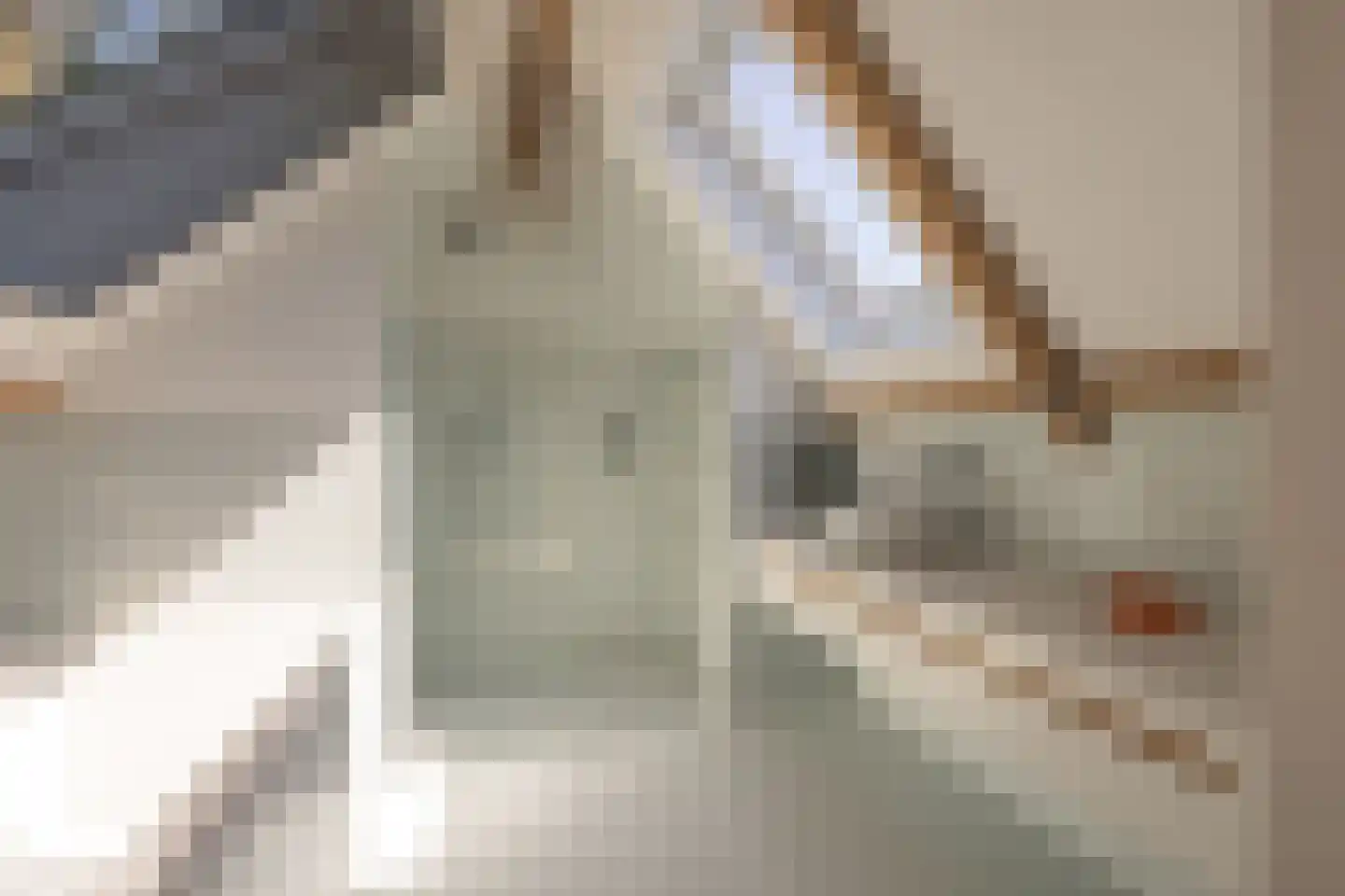 Rondehoep West 52 Ouderkerk aan de Amstel thumbnail 36