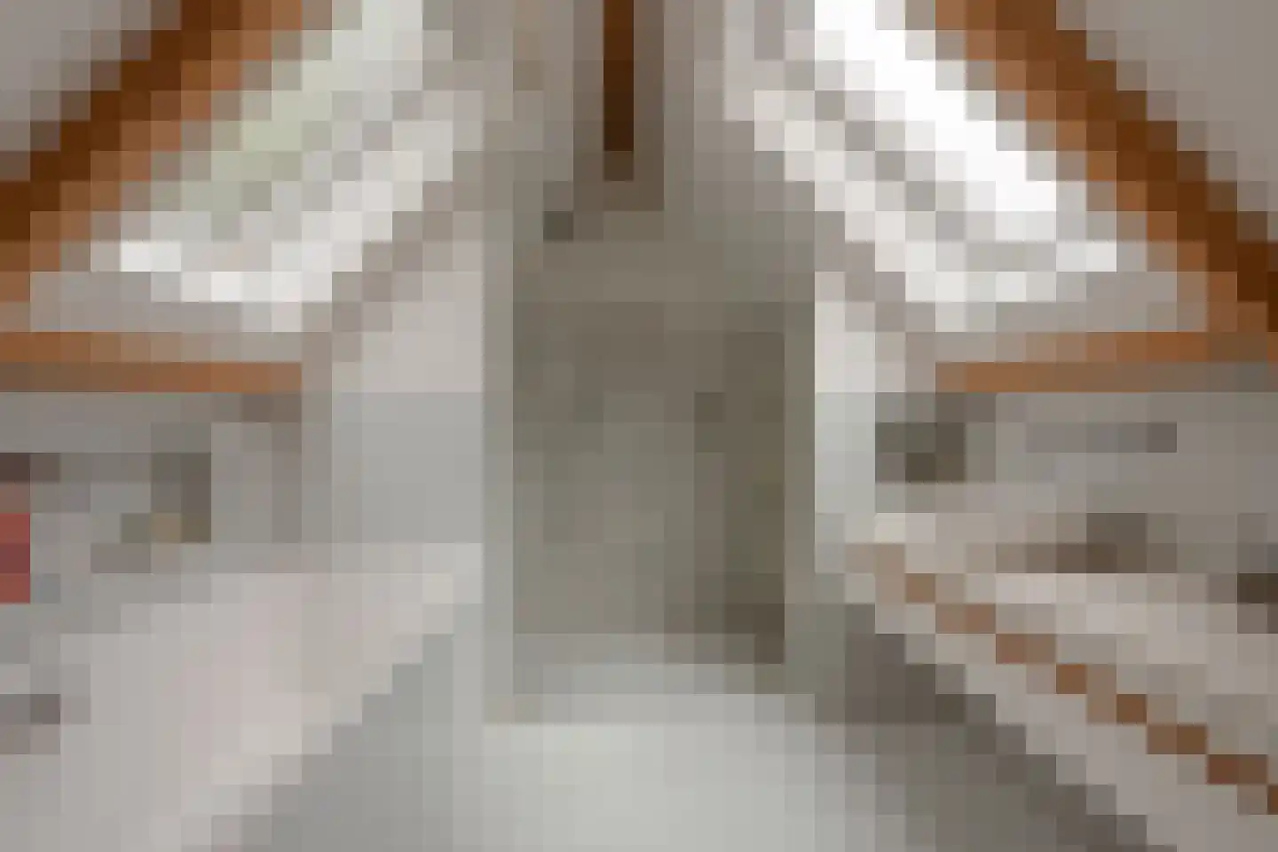 Rondehoep West 52 Ouderkerk aan de Amstel thumbnail 36