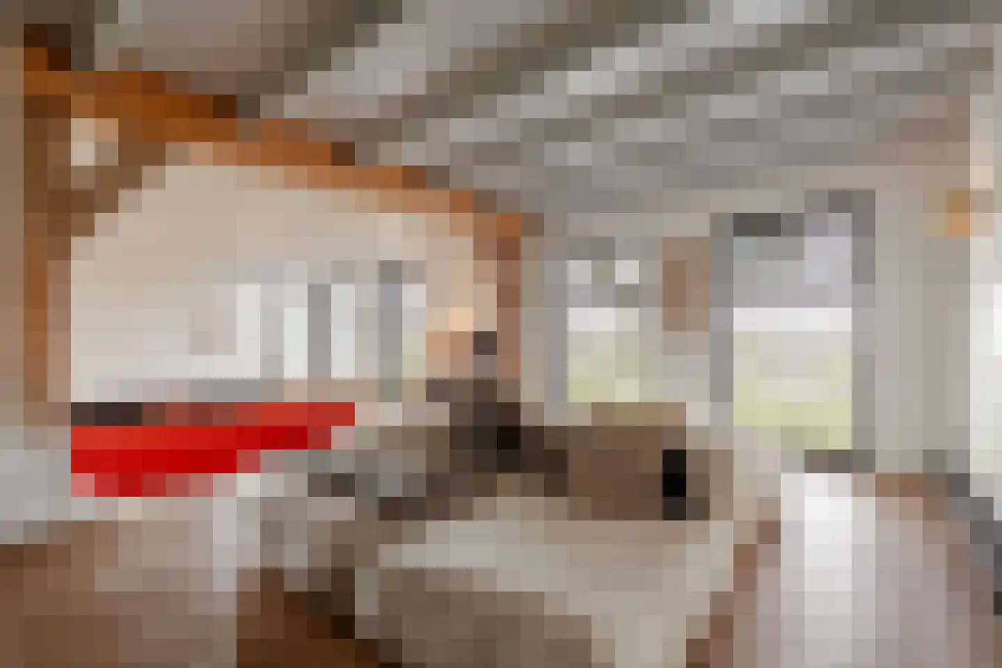 Rondehoep West 52 Ouderkerk aan de Amstel thumbnail 4
