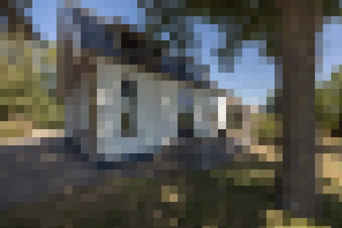 Rondehoep West 52 Ouderkerk aan de Amstel thumbnail 49