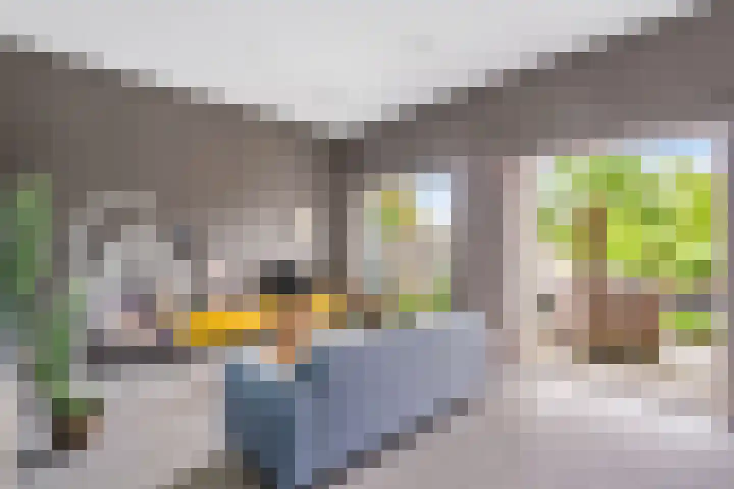 Rondel 3 Nijkerk thumbnail 10