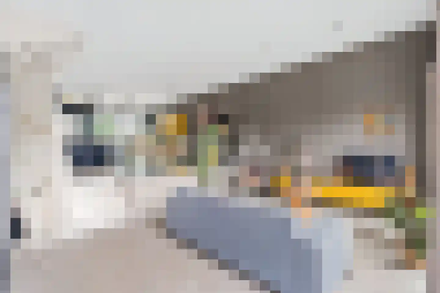 Rondel 3 Nijkerk thumbnail 11