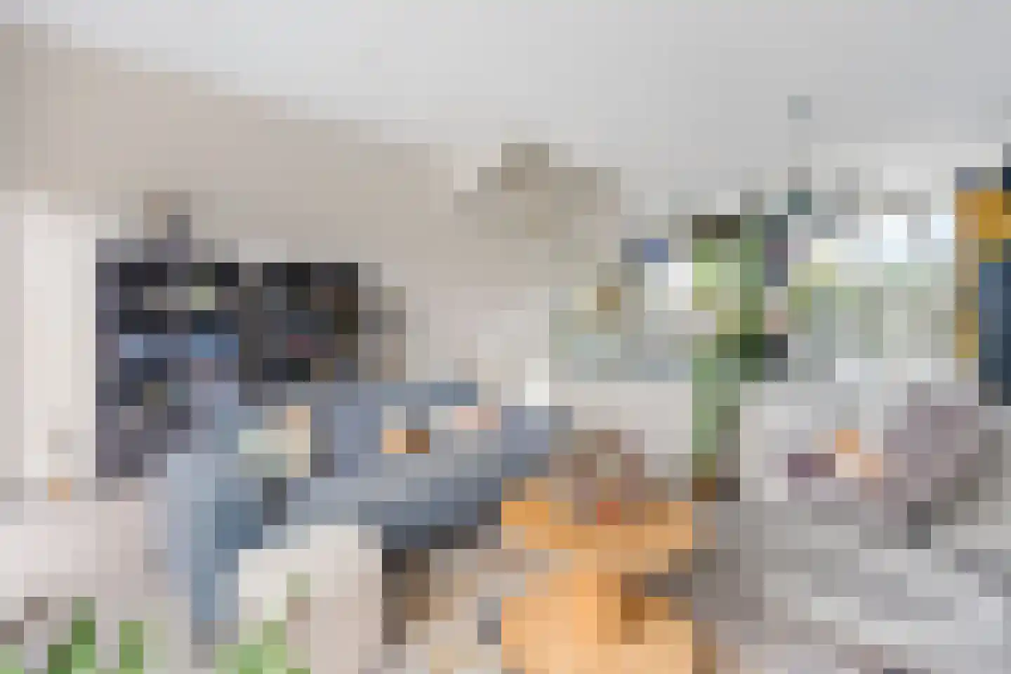 Rondel 3 Nijkerk thumbnail 12