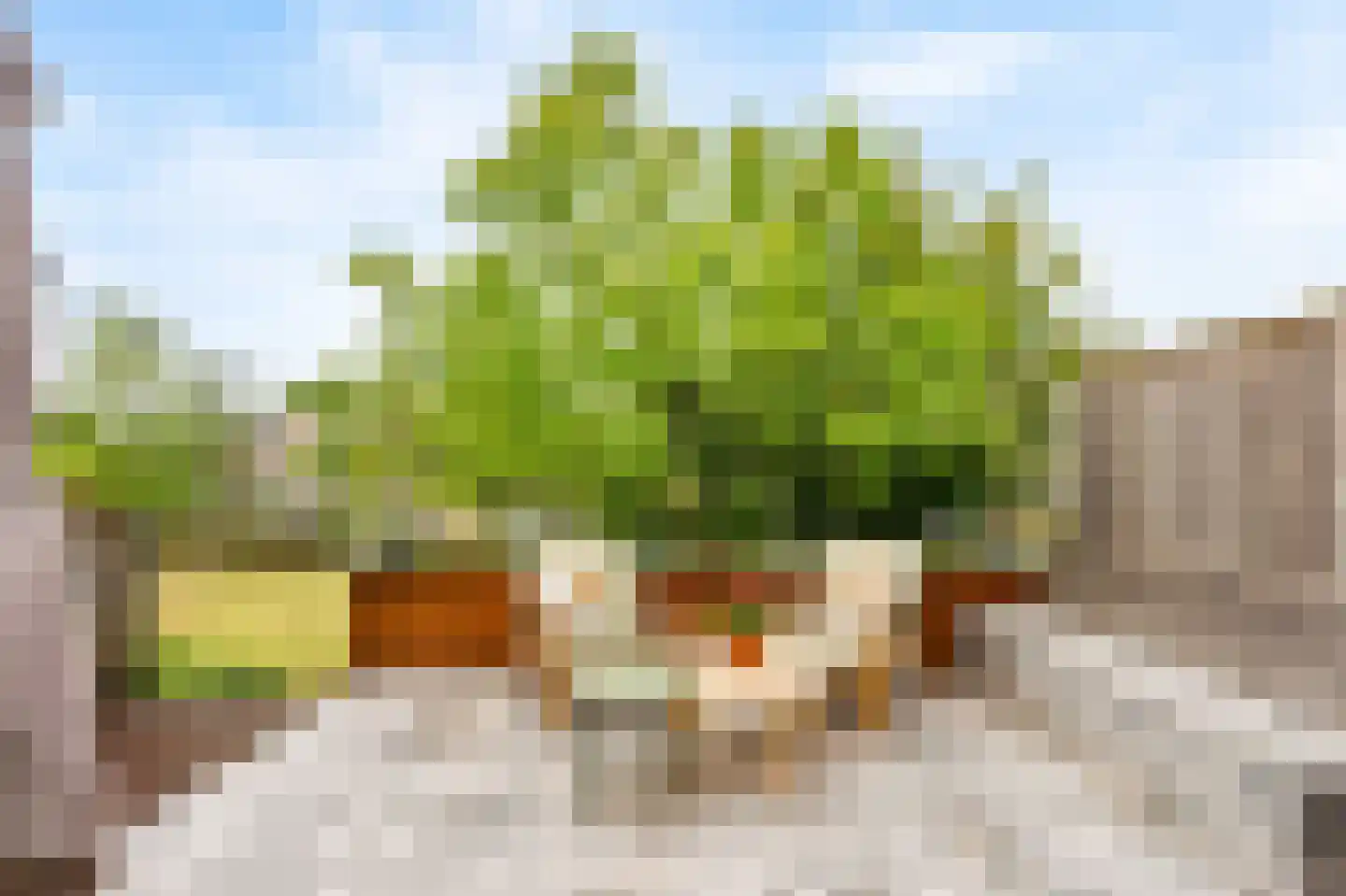 Rondel 3 Nijkerk thumbnail 36
