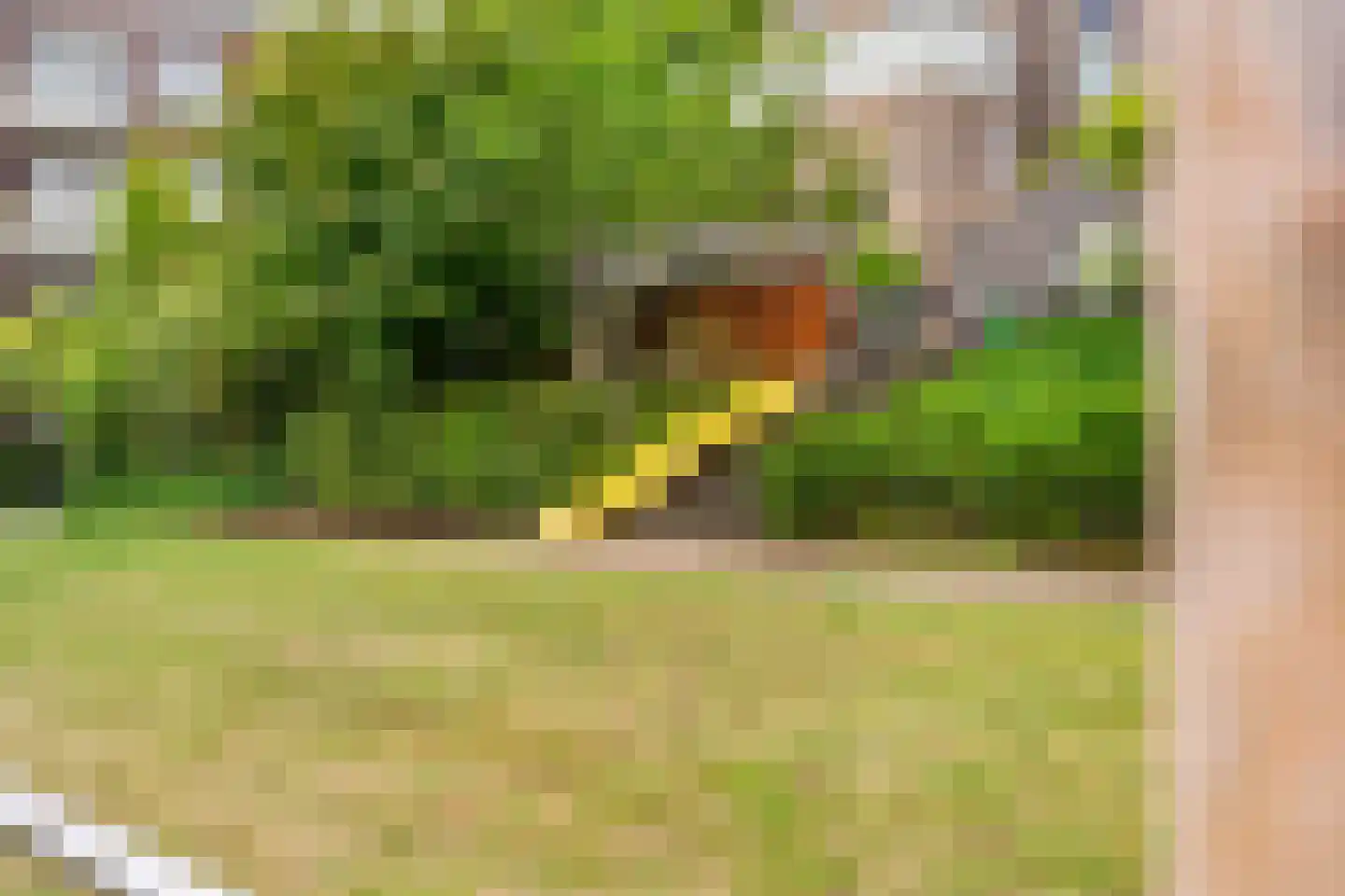 Rondel 3 Nijkerk thumbnail 39