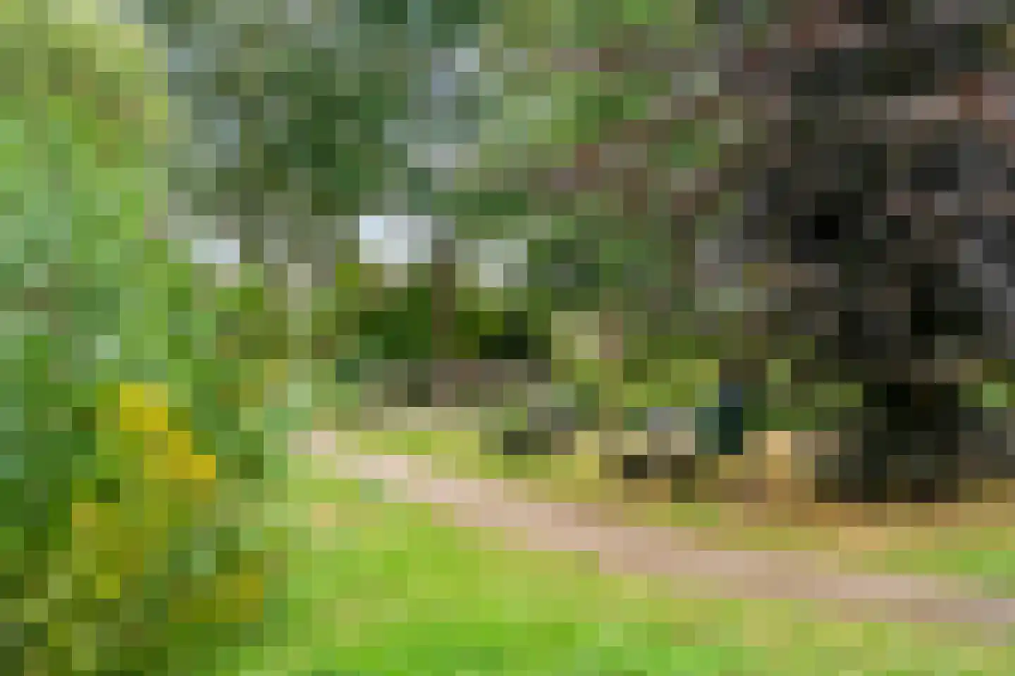 Rondel 3 Nijkerk thumbnail 43