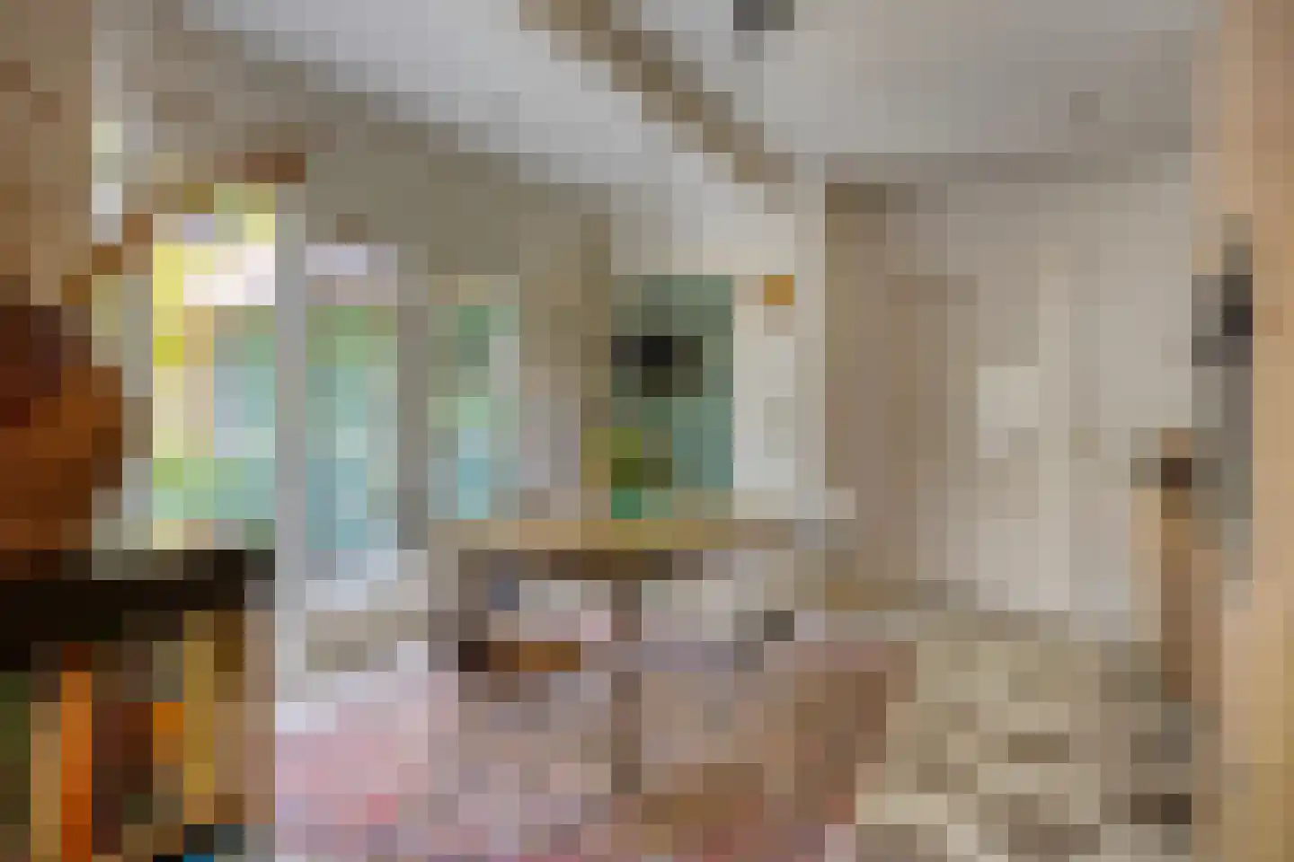 Rondelaan 2 Bergen (NH) thumbnail 14