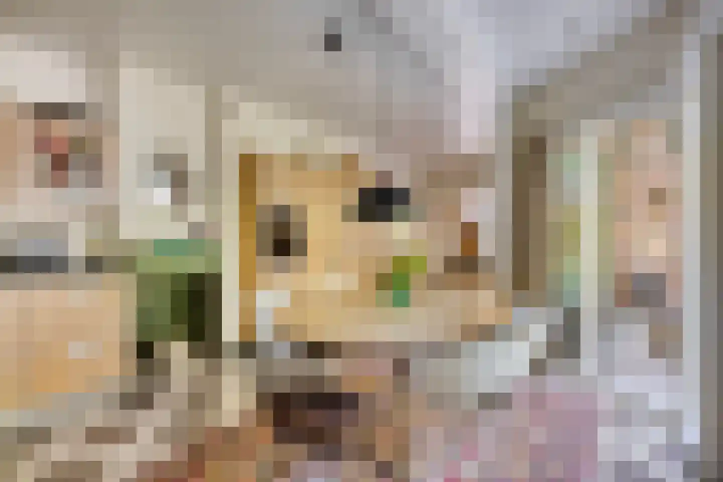 Rondelaan 2 Bergen (NH) thumbnail 16