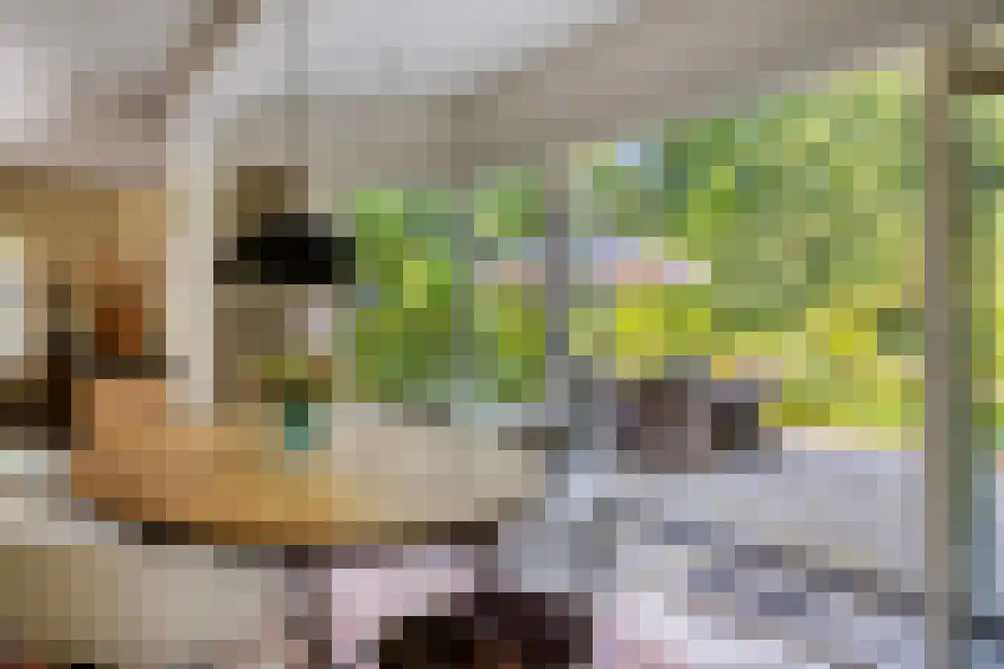 Rondelaan 2 Bergen (NH) thumbnail 17