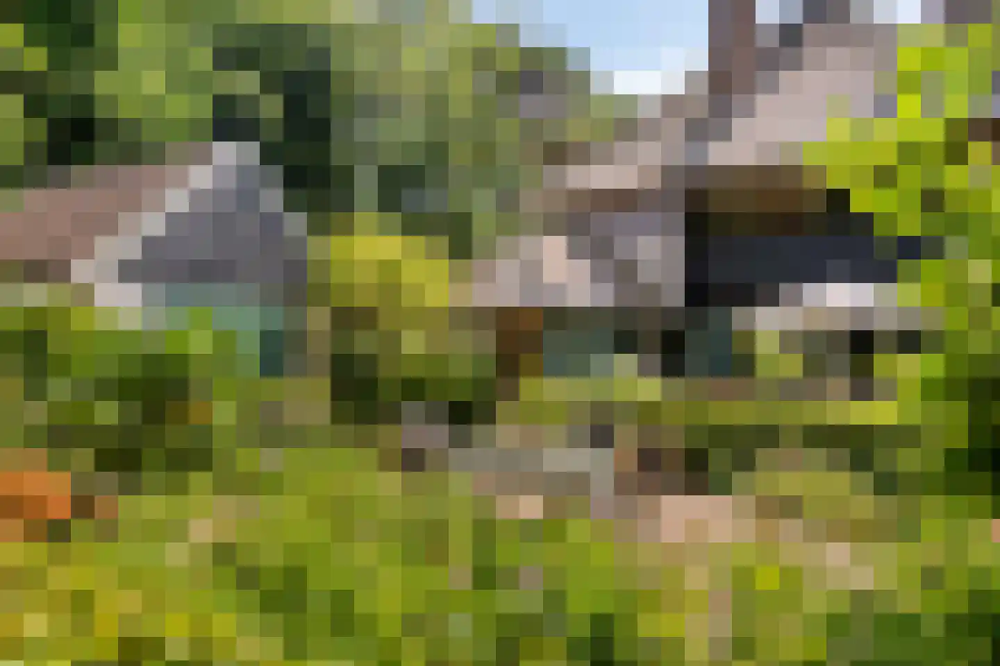 Rondelaan 2 Bergen (NH) thumbnail 21