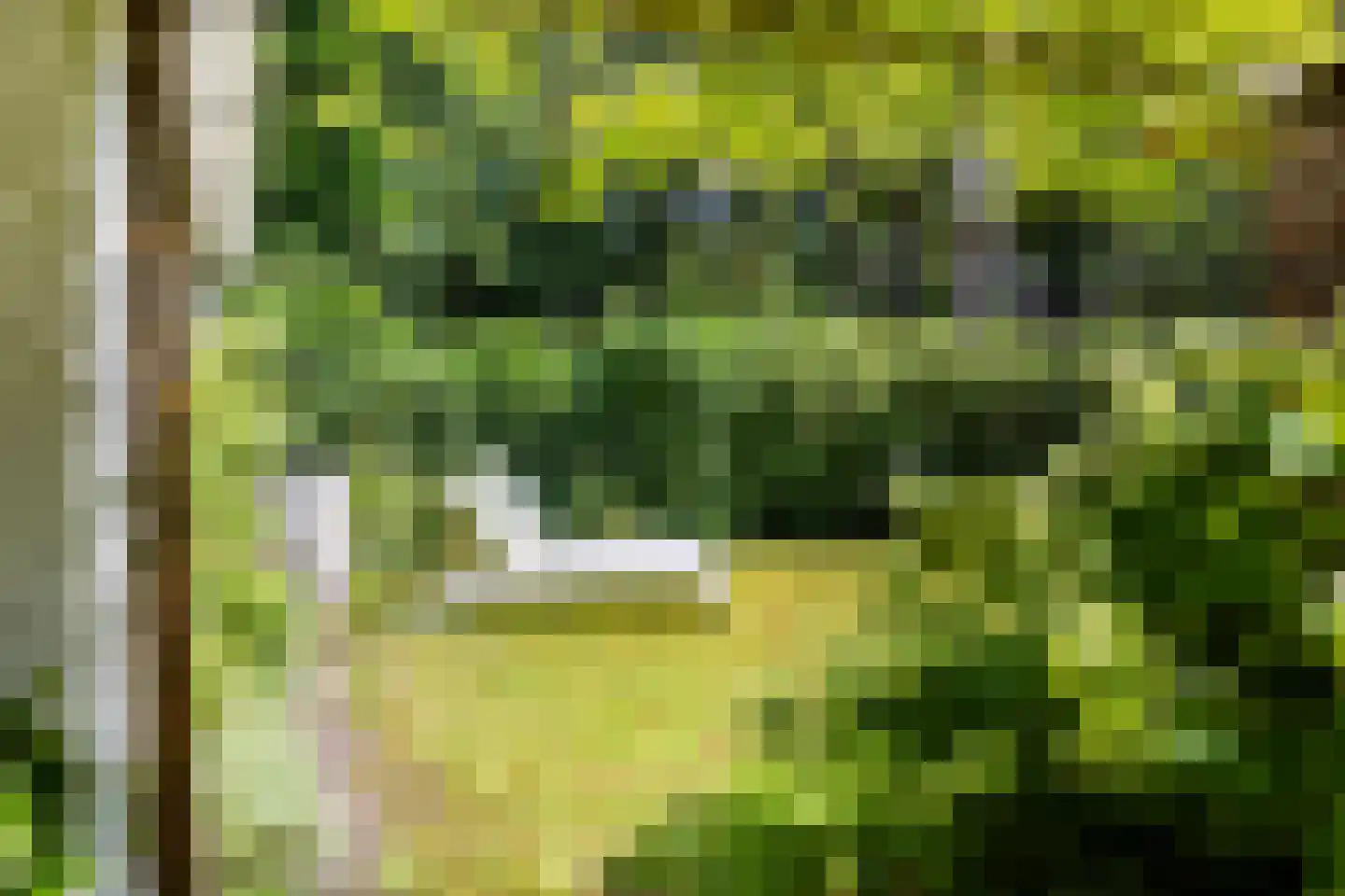 Rondelaan 2 Bergen (NH) thumbnail 22
