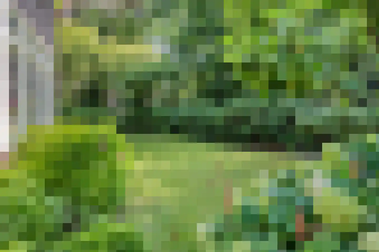 Rondelaan 2 Bergen (NH) thumbnail 25