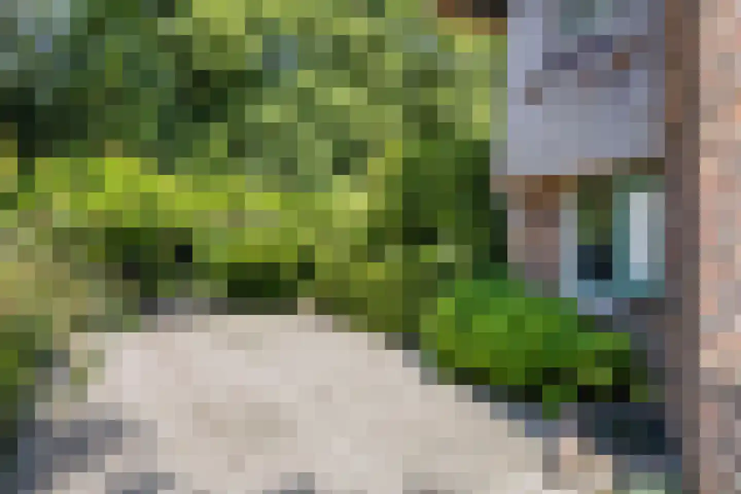 Rondelaan 2 Bergen (NH) thumbnail 29