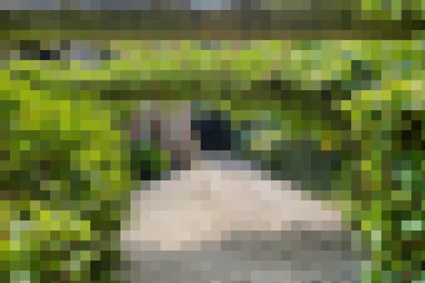 Rondelaan 2 Bergen (NH) thumbnail 30