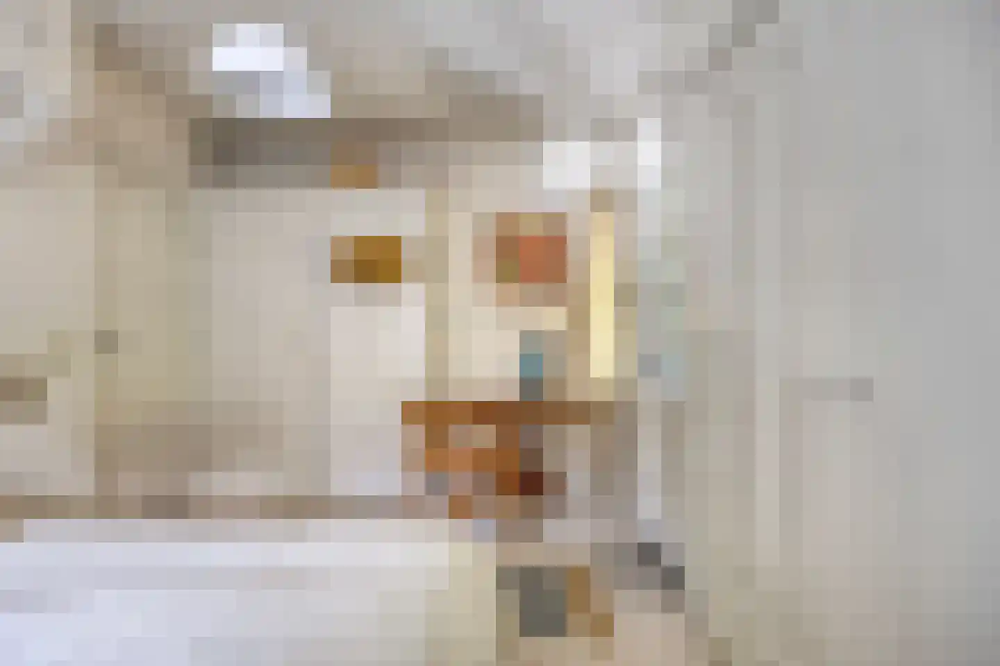 Rondelaan 2 Bergen (NH) thumbnail 35
