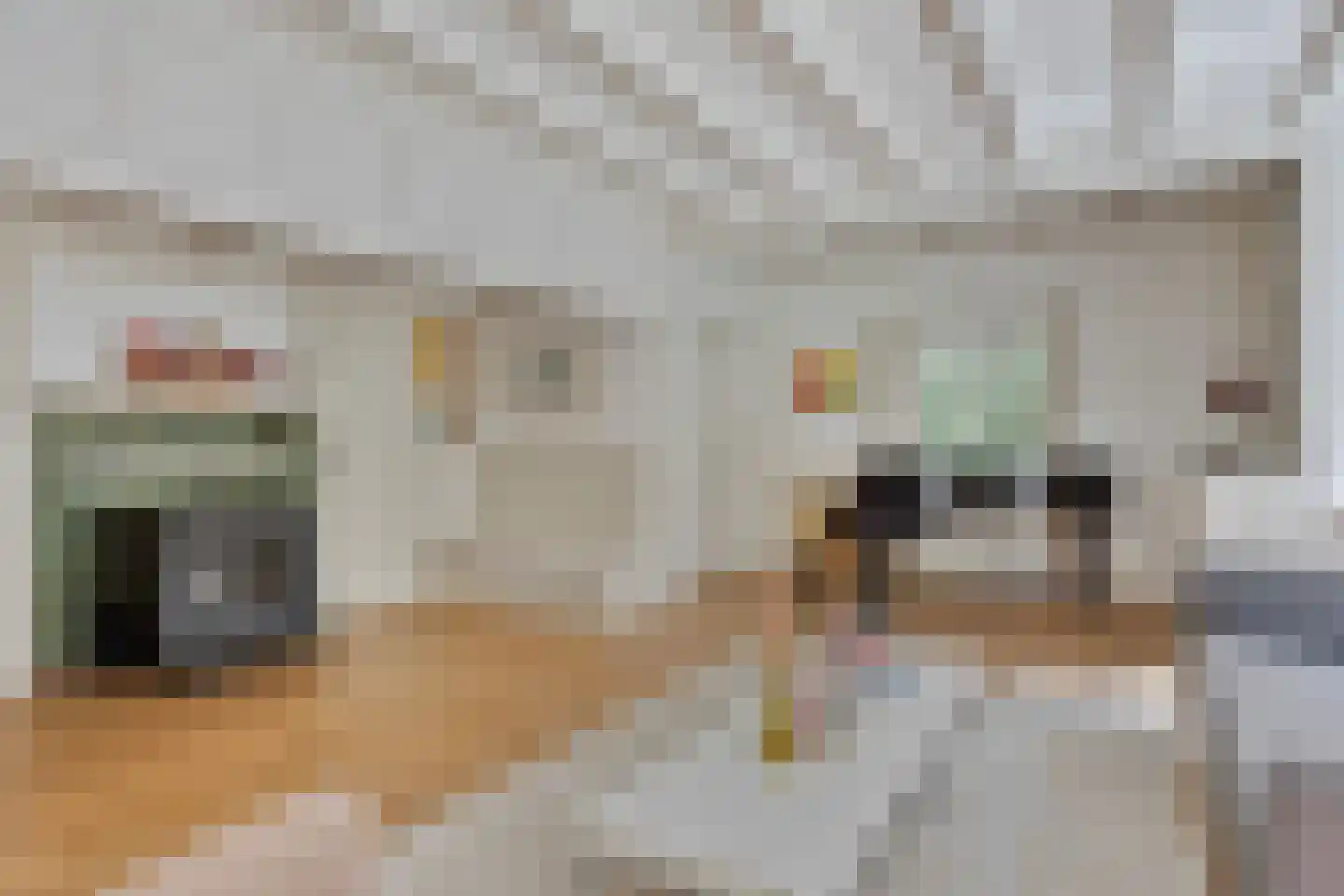 Rondelaan 2 Bergen (NH) thumbnail 4