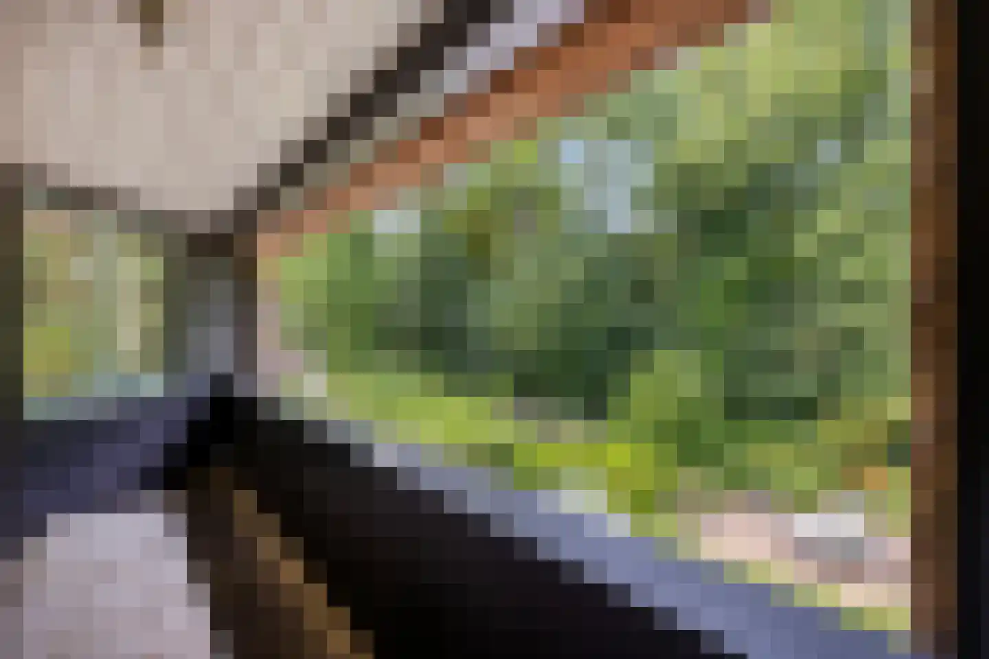 Rondelaan 2 Bergen (NH) thumbnail 43