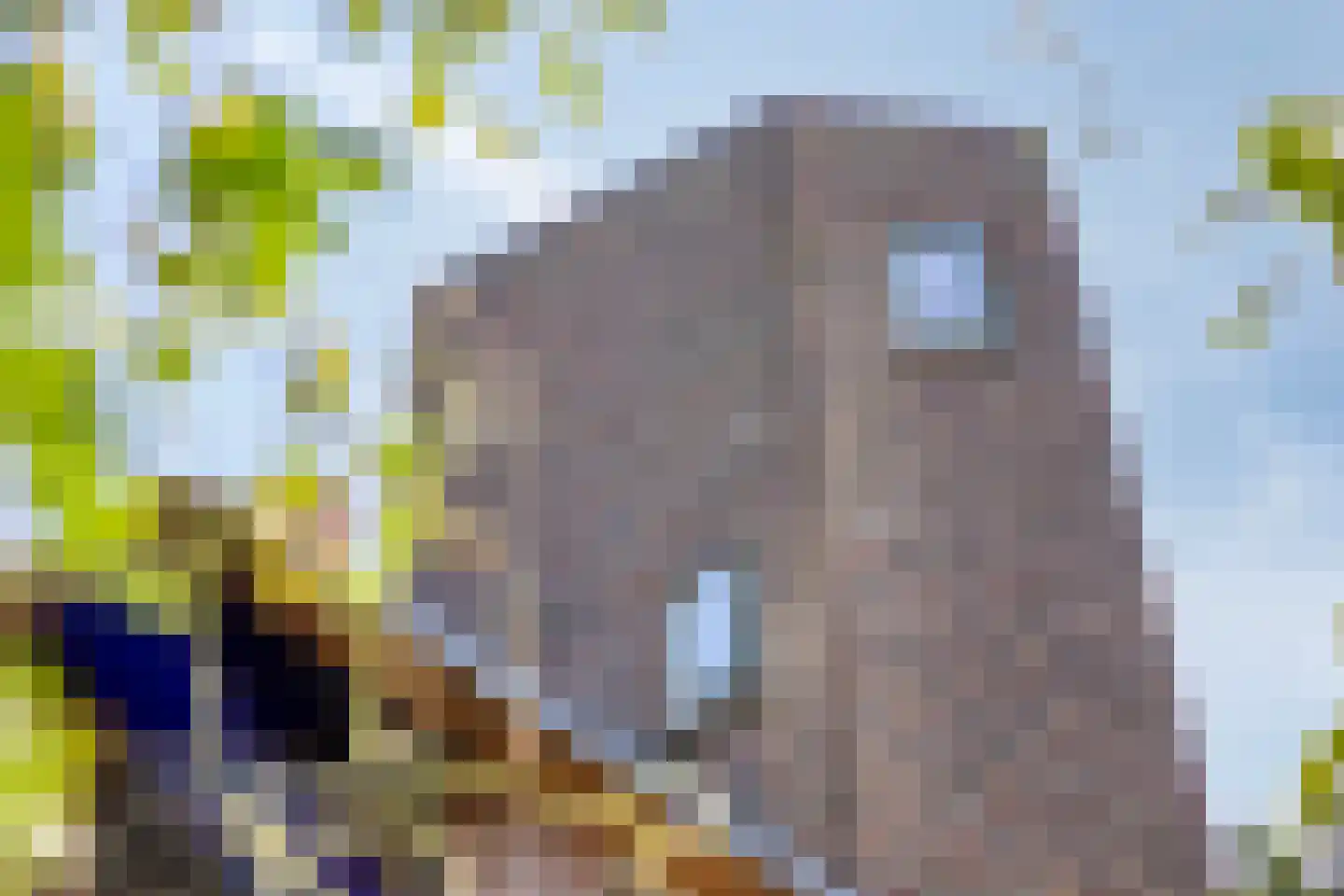 Rondelaan 2 Bergen (NH) thumbnail 51