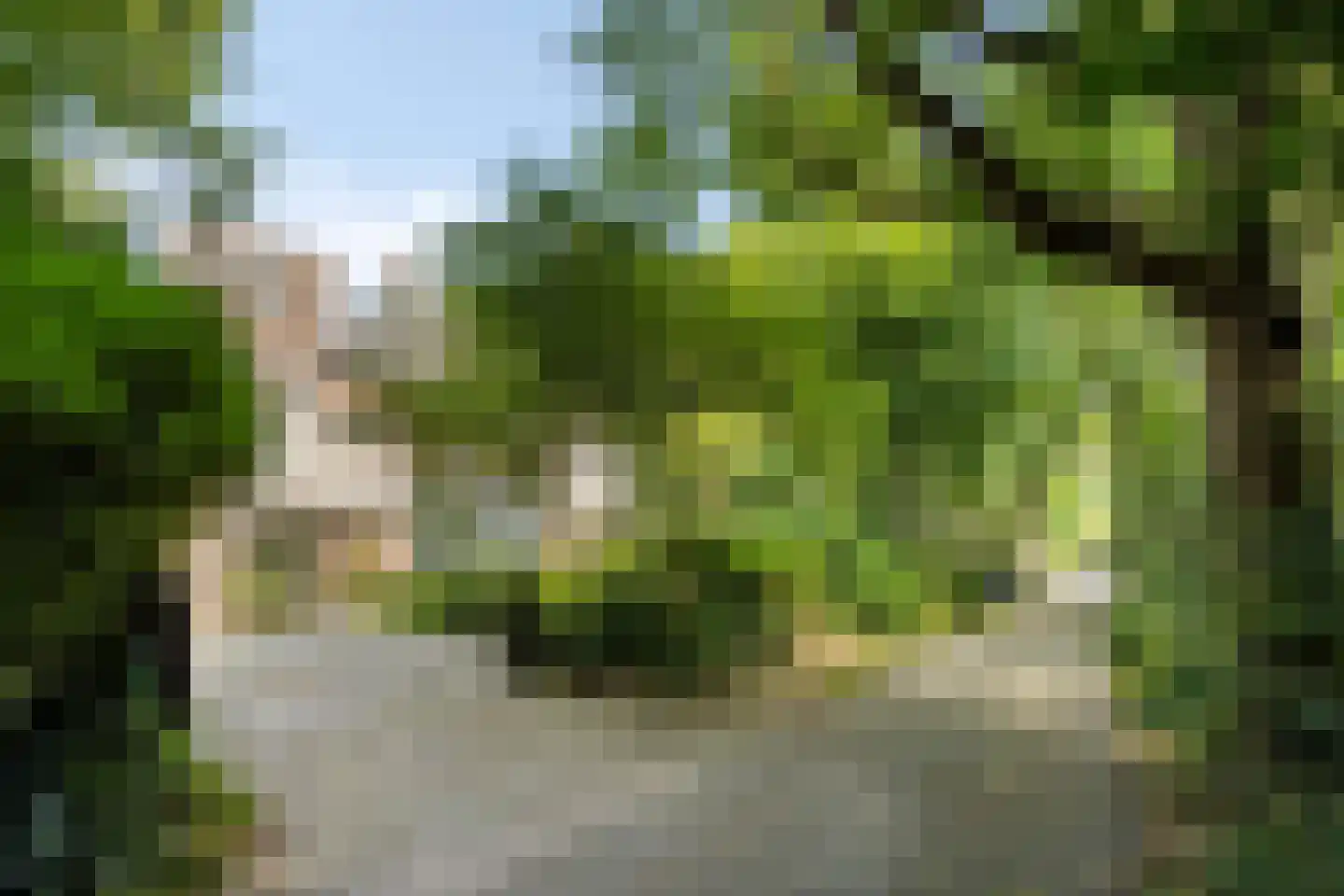 Rondelaan 2 Bergen (NH) thumbnail 57