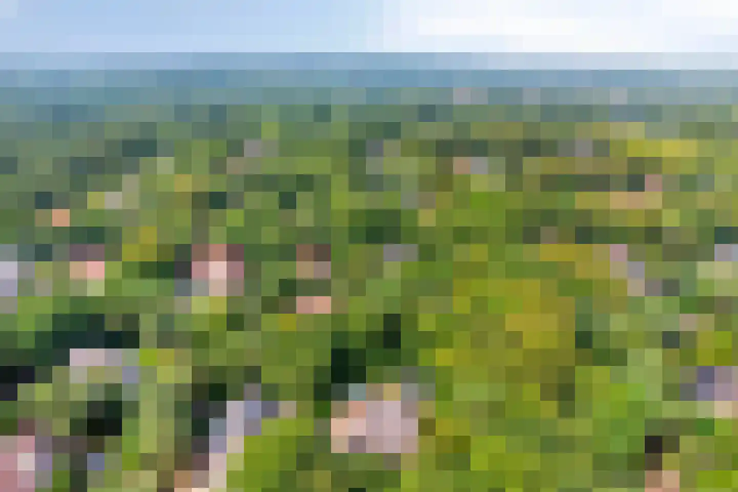 Rondelaan 2 Bergen (NH) thumbnail 59