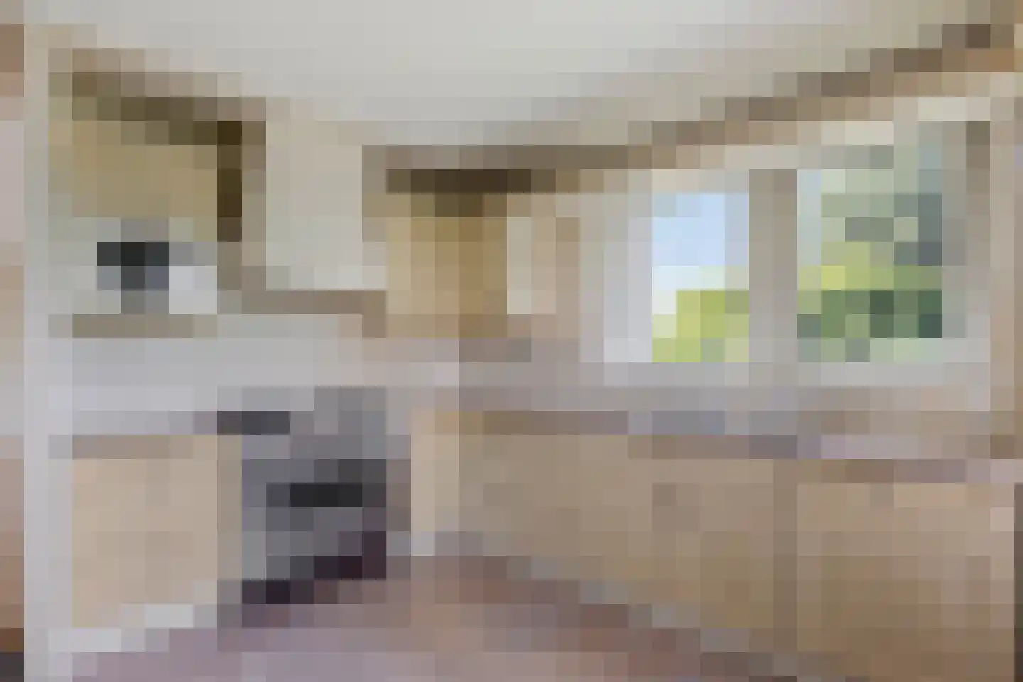 Rondenburglaan 103 Hoofddorp thumbnail 11