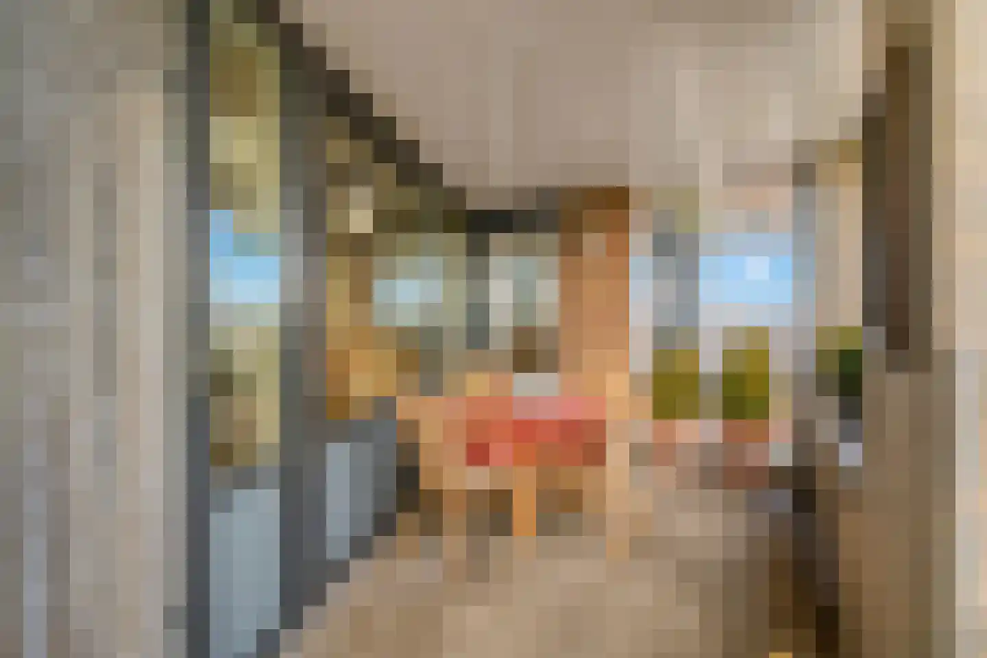 Rondenburglaan 131 Hoofddorp thumbnail 13
