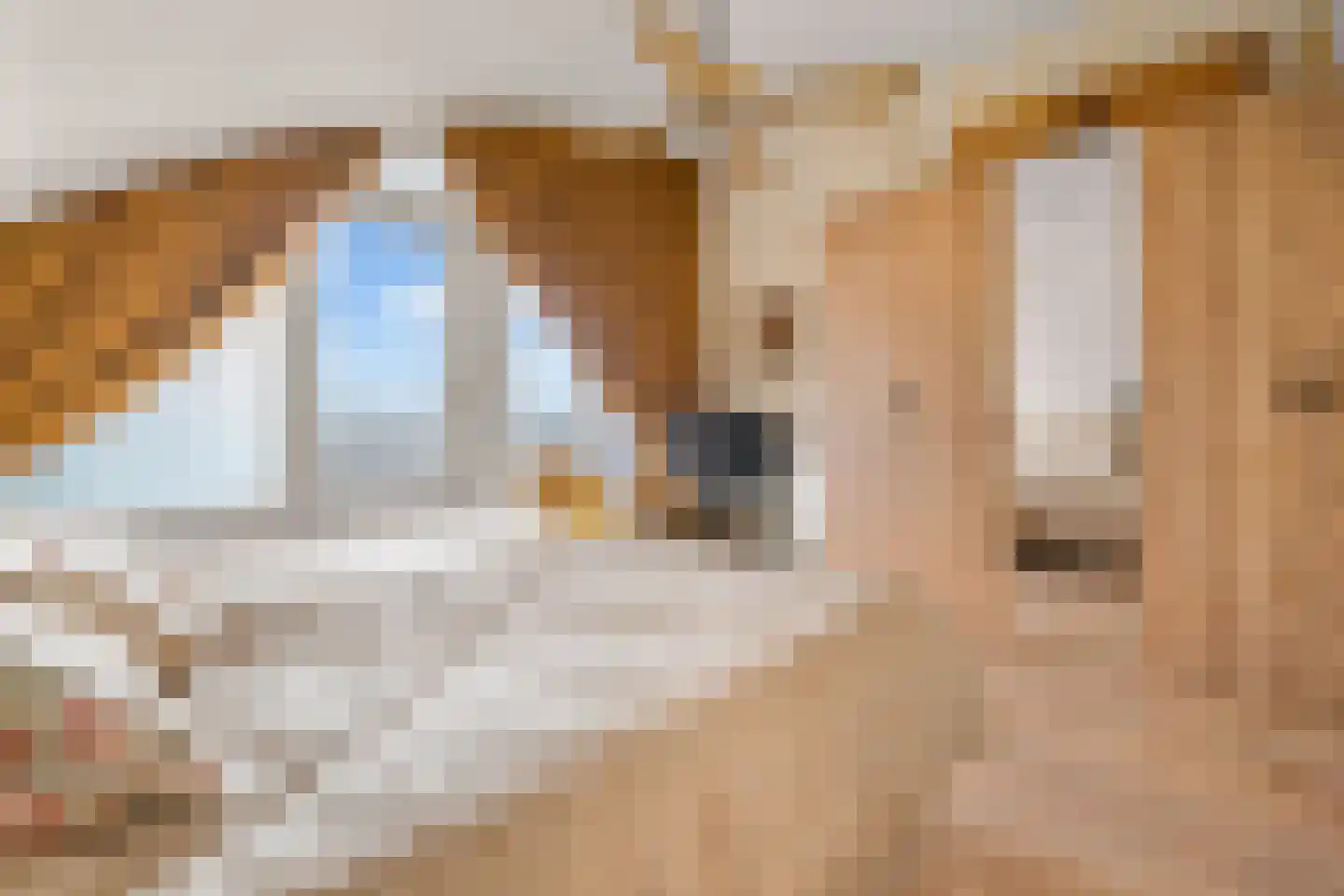 Rondenburglaan 131 Hoofddorp thumbnail 31