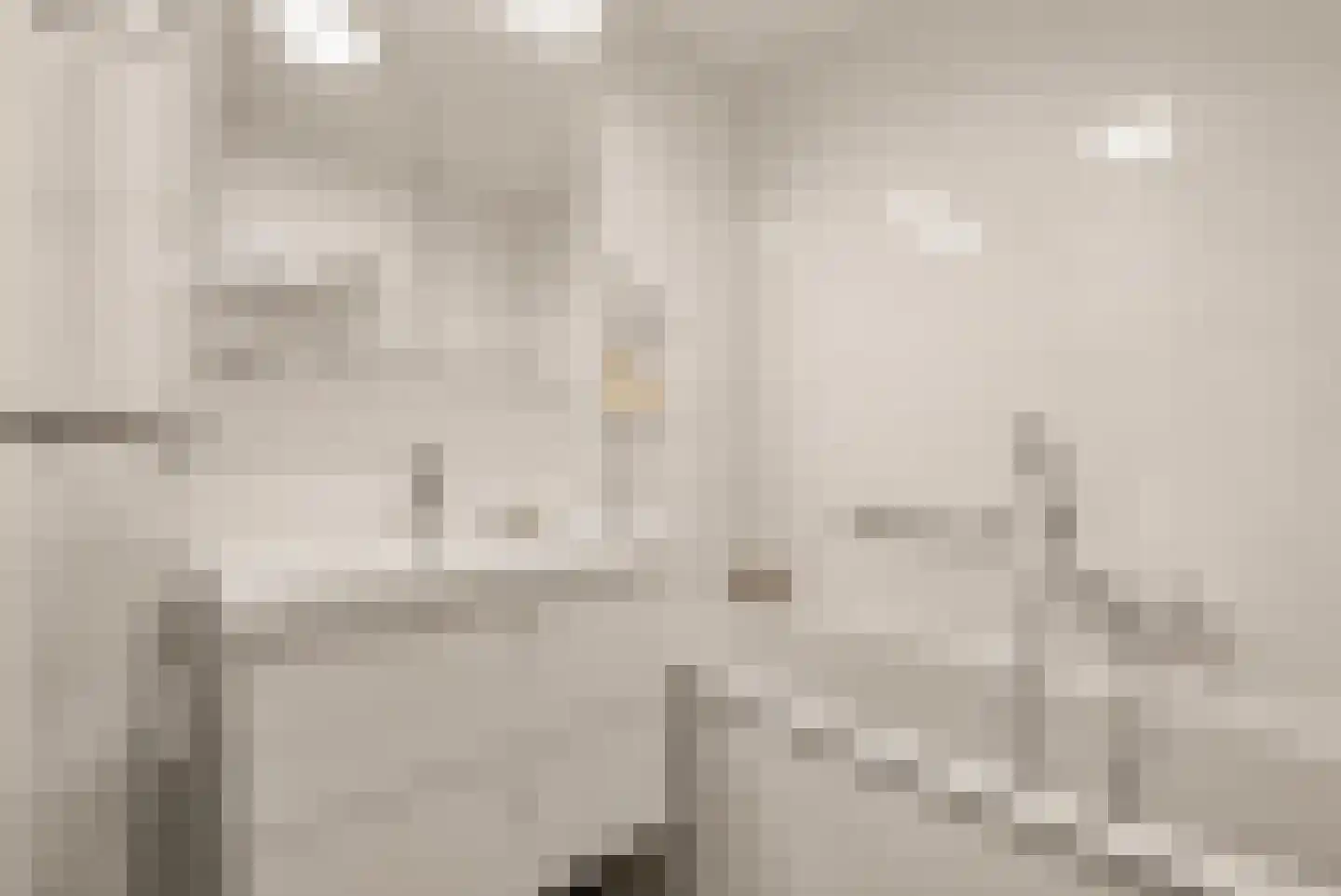 Rondenburglaan 131 Hoofddorp thumbnail 36