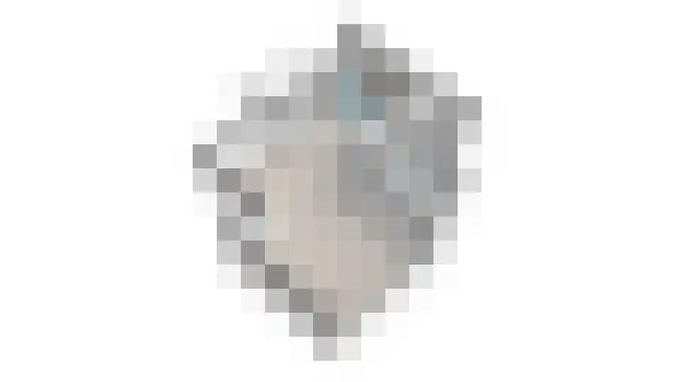 Rondenburglaan 131 Hoofddorp thumbnail 48