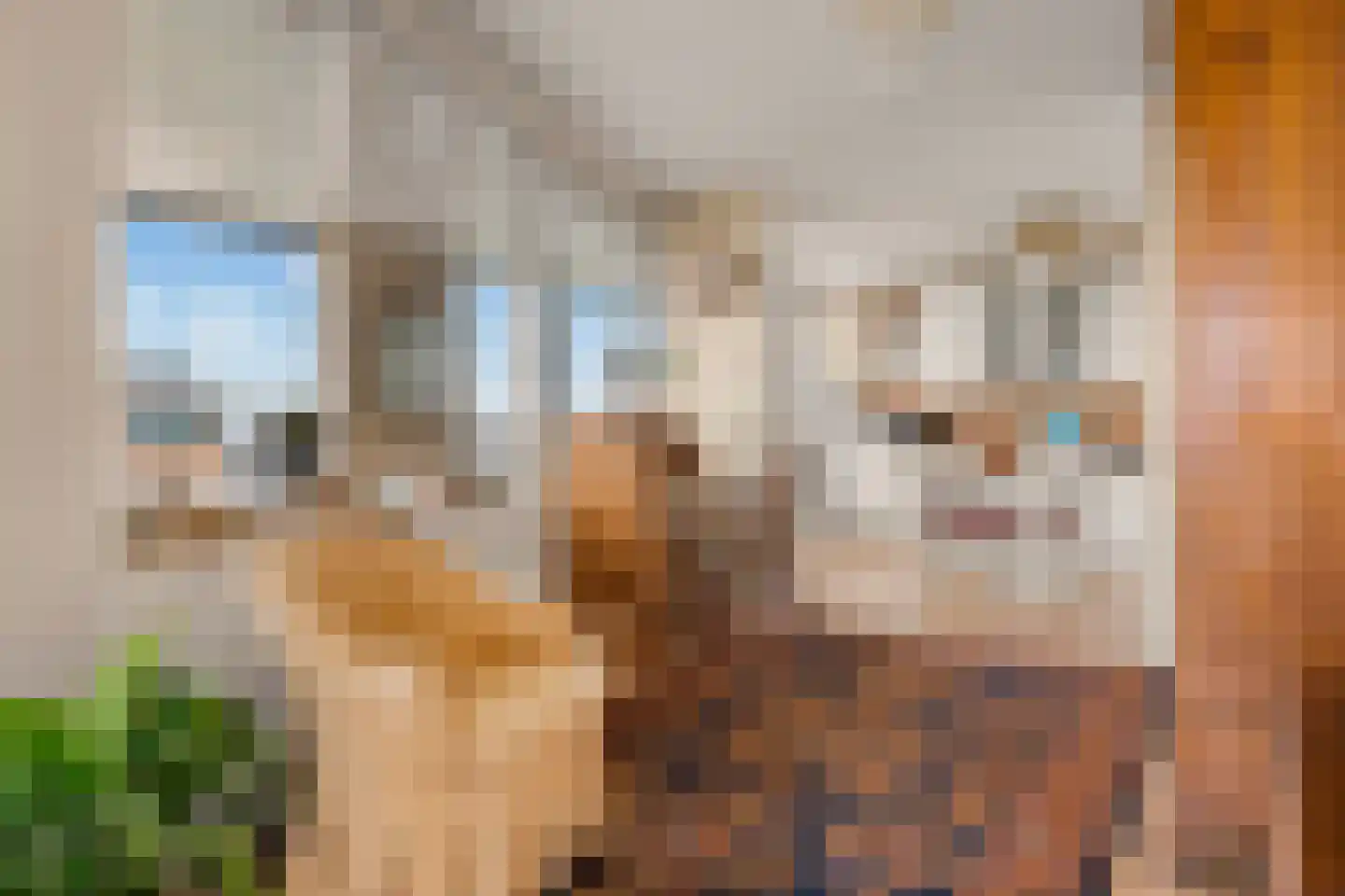Rondenburglaan 131 Hoofddorp thumbnail 7
