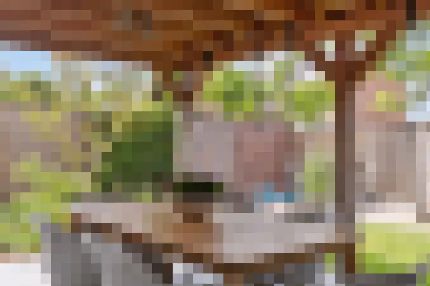 Rondeveld 16 Leunen thumbnail 34