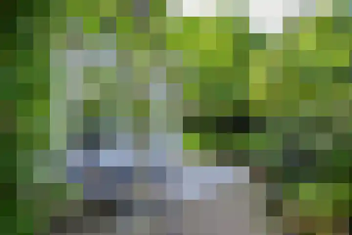 Rondeweg 16 Vught thumbnail 37