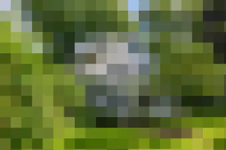 Rondeweg 16 Vught thumbnail 64