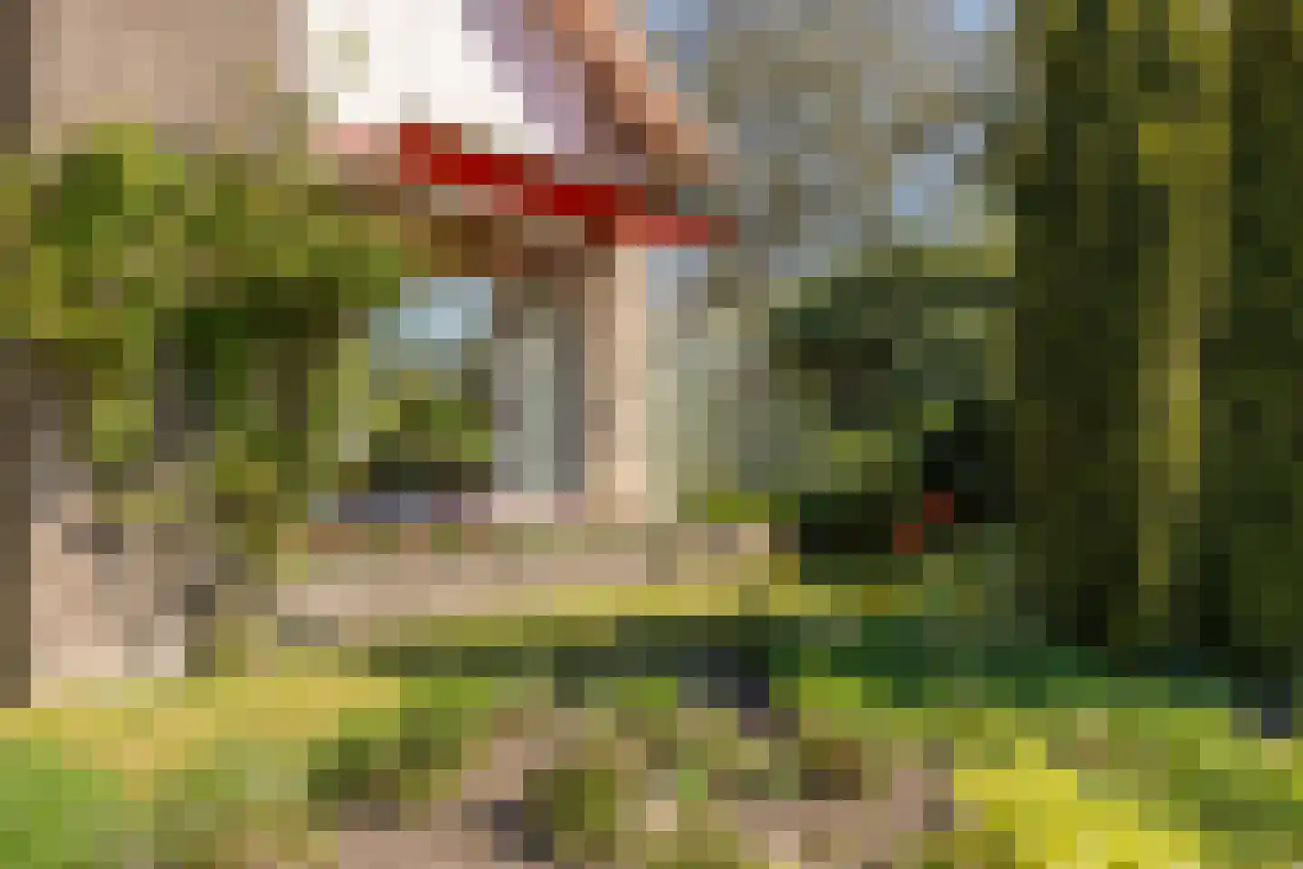 Rondeweg 2 's-Hertogenbosch thumbnail 15