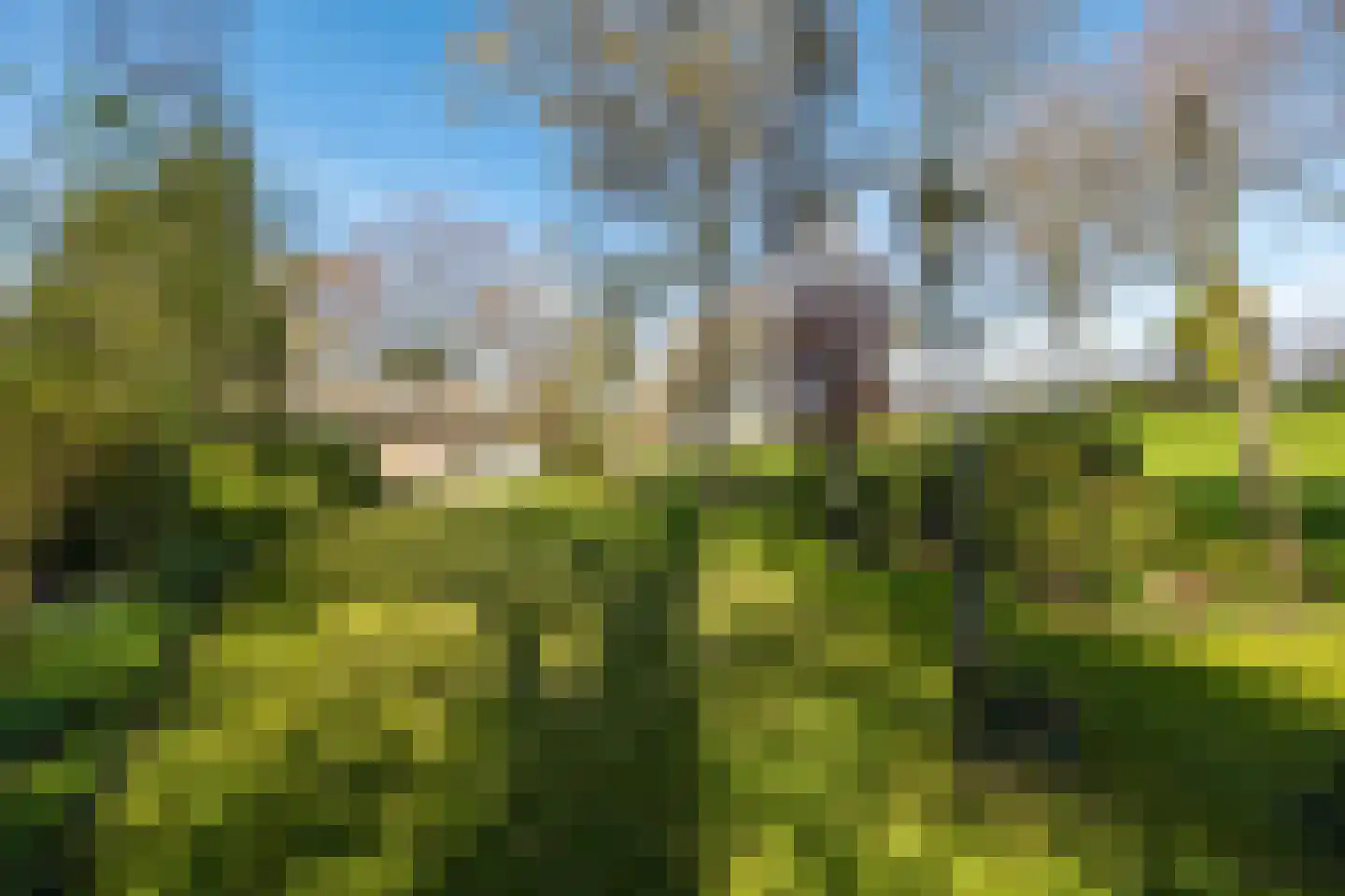 Rondeweg 2 's-Hertogenbosch thumbnail 18