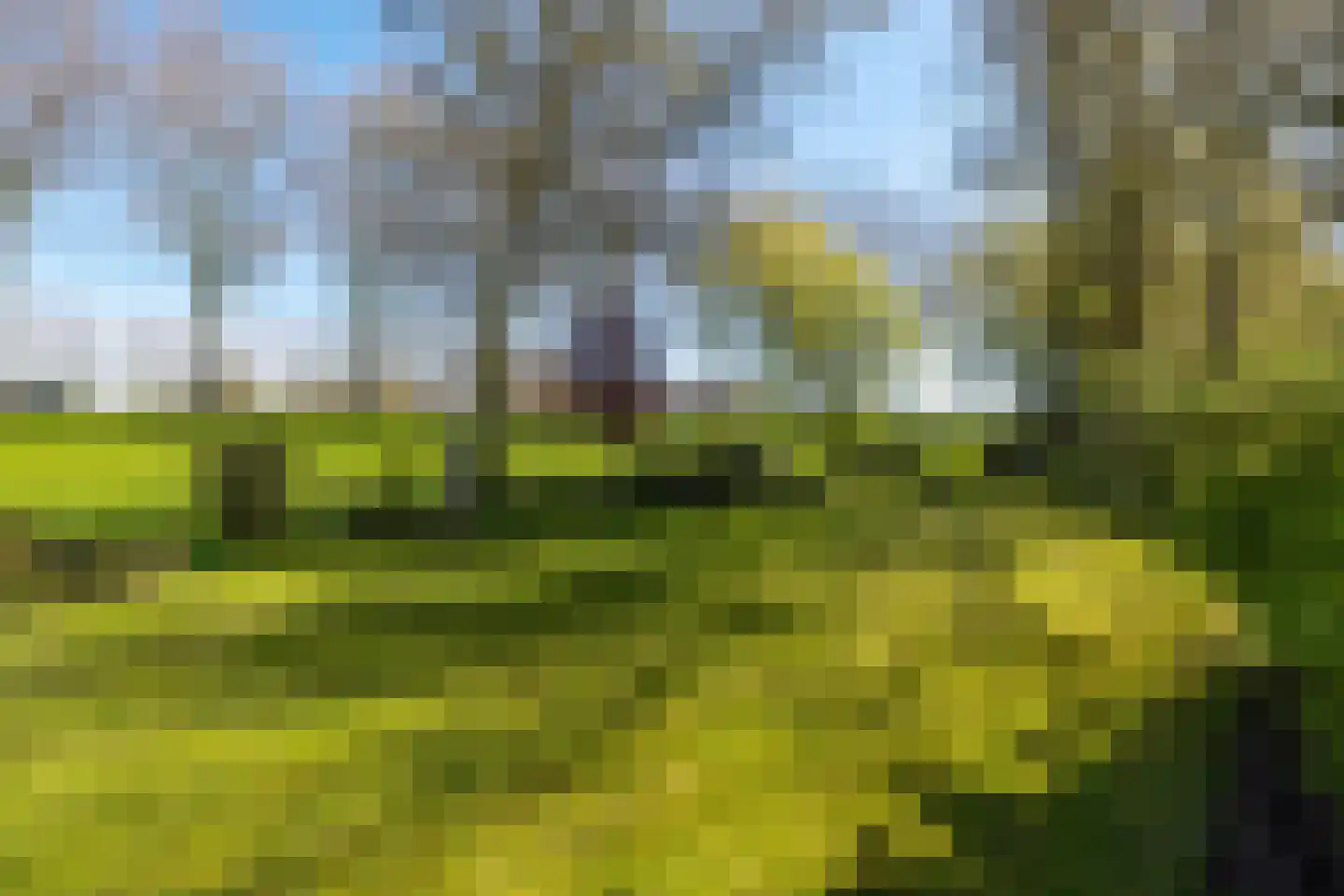 Rondeweg 2 's-Hertogenbosch thumbnail 20